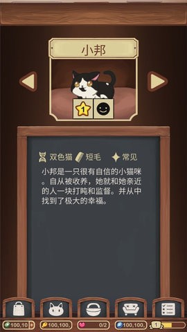 绒毛猫咖啡店