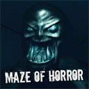 maze of darkness