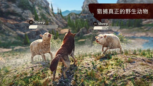 Thewolf狼族