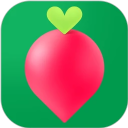 叮咚买菜app