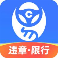 车行易查违章