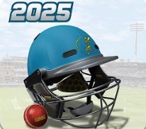 板球队长2025