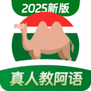阿拉伯语学习