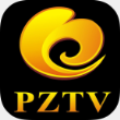 银杏tv电视版