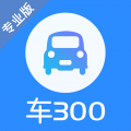 车300专业版免费估价