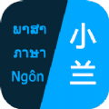 小兰翻译APP