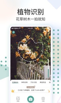 识花君拍照识别
