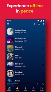 audify音乐(Audify Music Player)