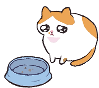 QTool模块脚本