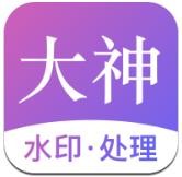 大神水印app