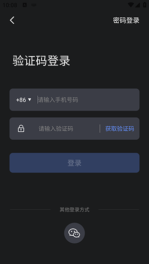 调音器 tuner