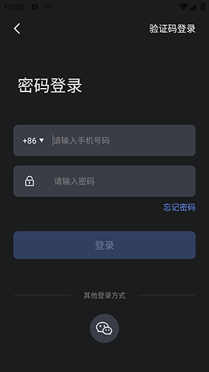 调音器 tuner