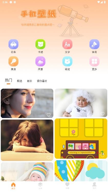 walp壁纸