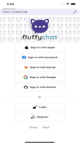 FluffyChat聊天