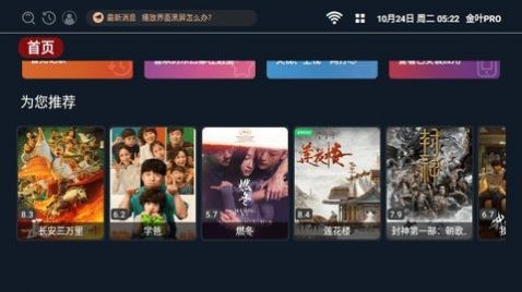 金叶PRO影视