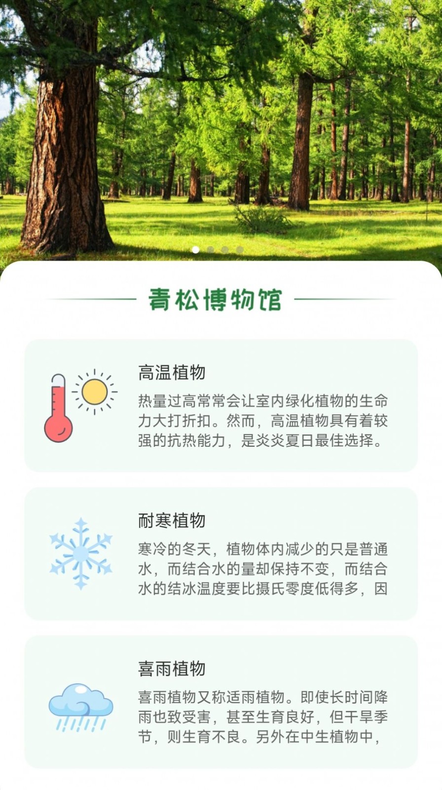 日光域旅游